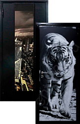 Cтальные двери с фотопечатью - Изображение